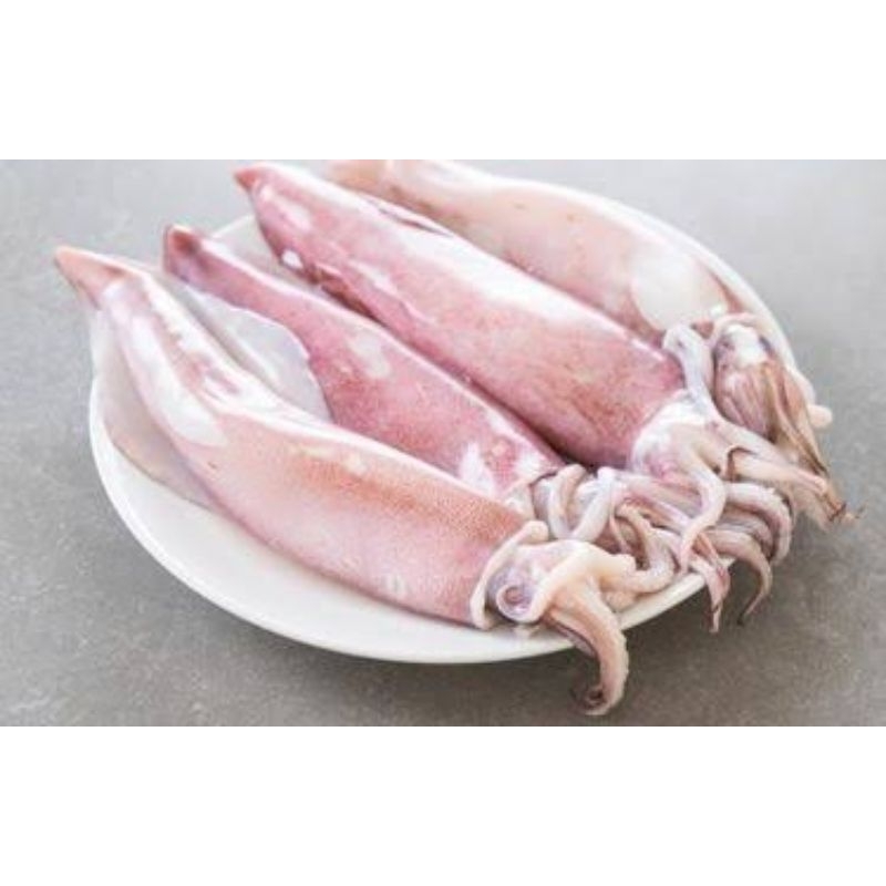 

Cumi-cumi Fresh 0,25kg, 0,5kg & 1kg