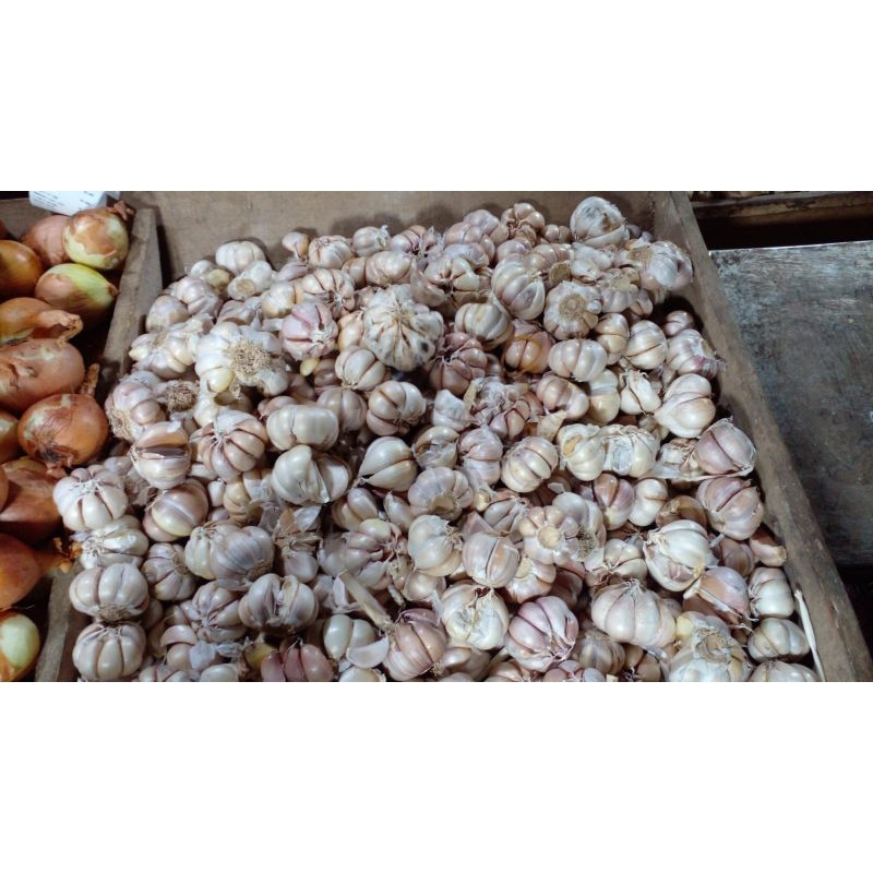 

BAWANG PUTIH