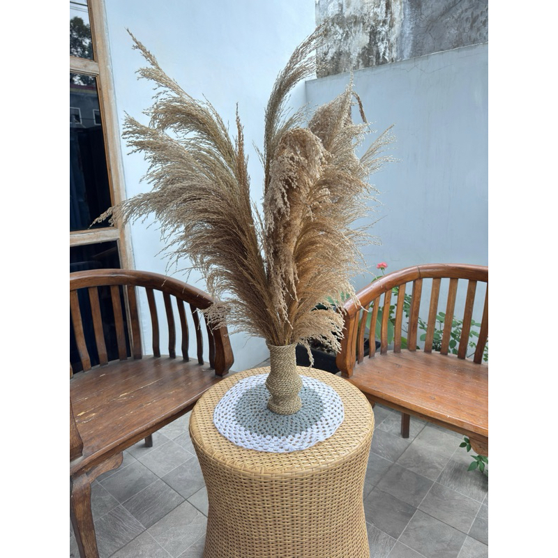 PAKET BUNGA KERING || PAKET PAMPAS KERING + POT || BUNGA KERING MURMER