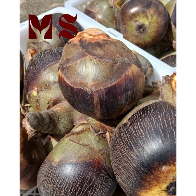 

Buah Lontah Segar