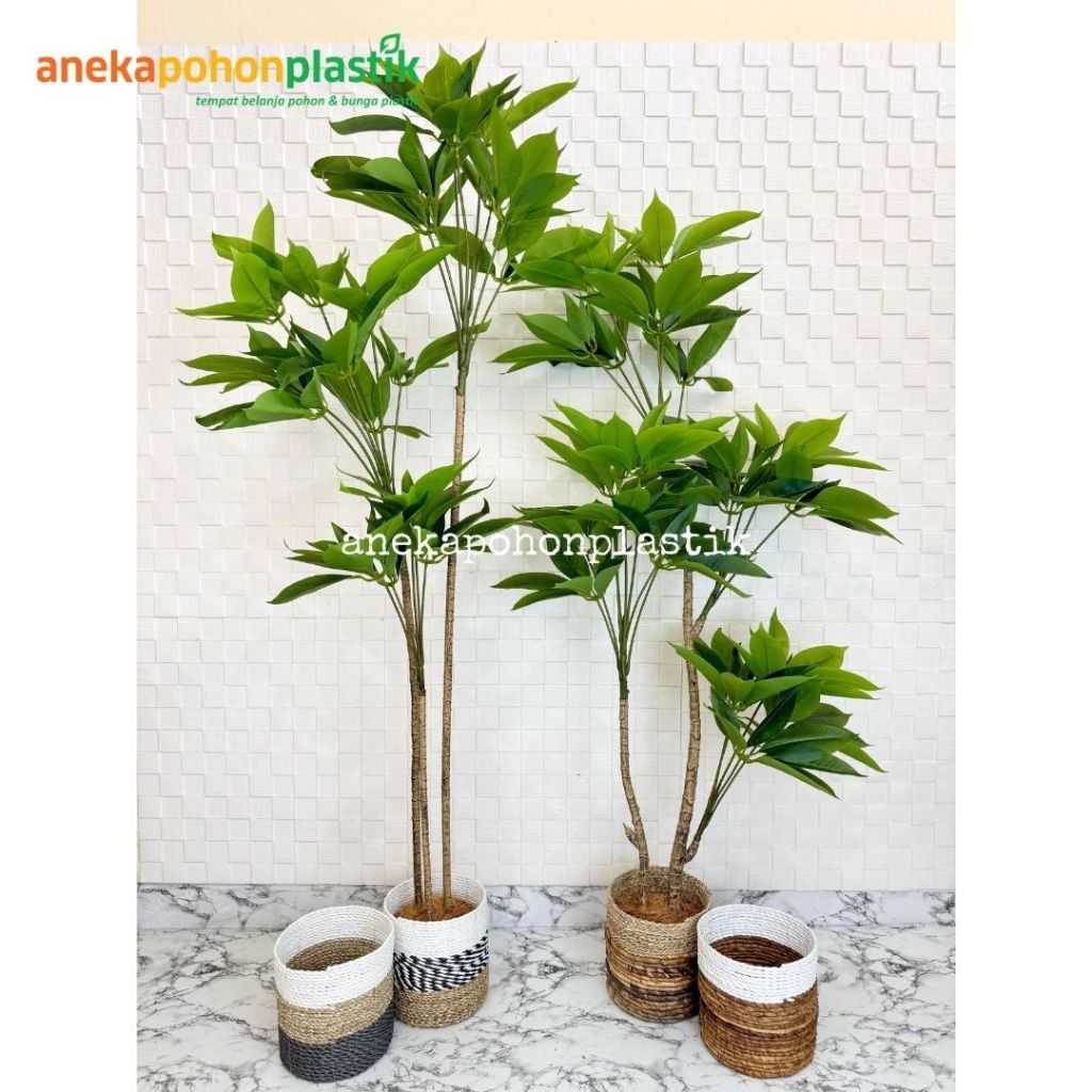 Pohon Artificial Pohon Imitasi Daun Manggis Variasi Tinggi 150 & 170 Cover Seagrass Dekorasi Sudut C