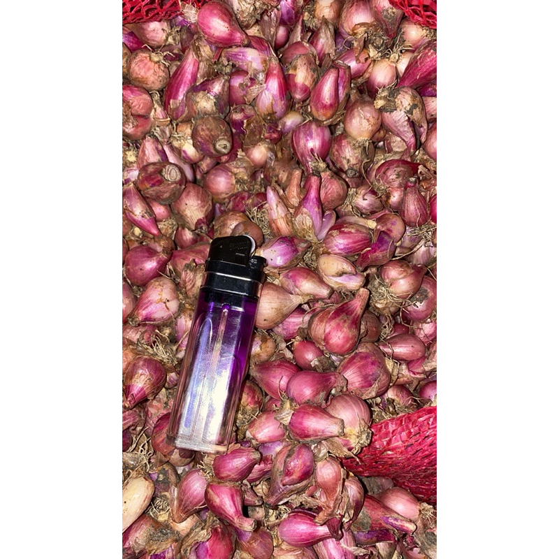 

bawang merah kecil/lembut/uleg/sayur berat 1KG
