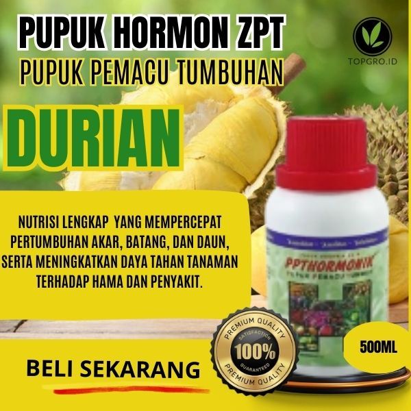 ZPT Durian / Pupuk ZPT Pertumbuhan / Pupuk ZPT Pelebat Buah Durian / Hormon Pemacu Buah Durian