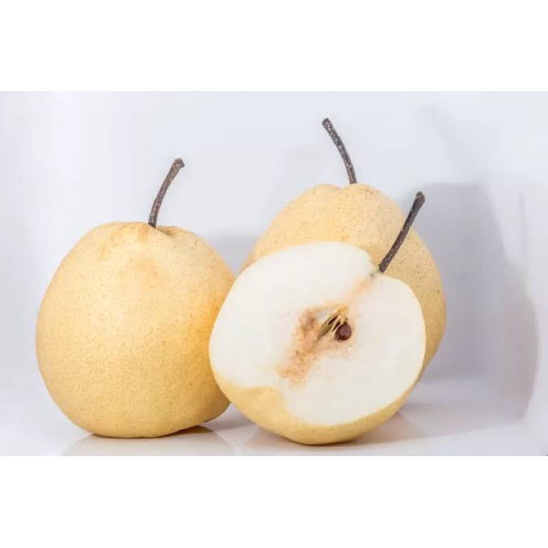 

Pear Century Manis Segar | Buah Pir Century Fresh Import 1KG