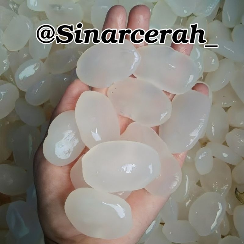 

Murah!! Kolang Kaling segar 1kg/Kolang Kaling super biji besar