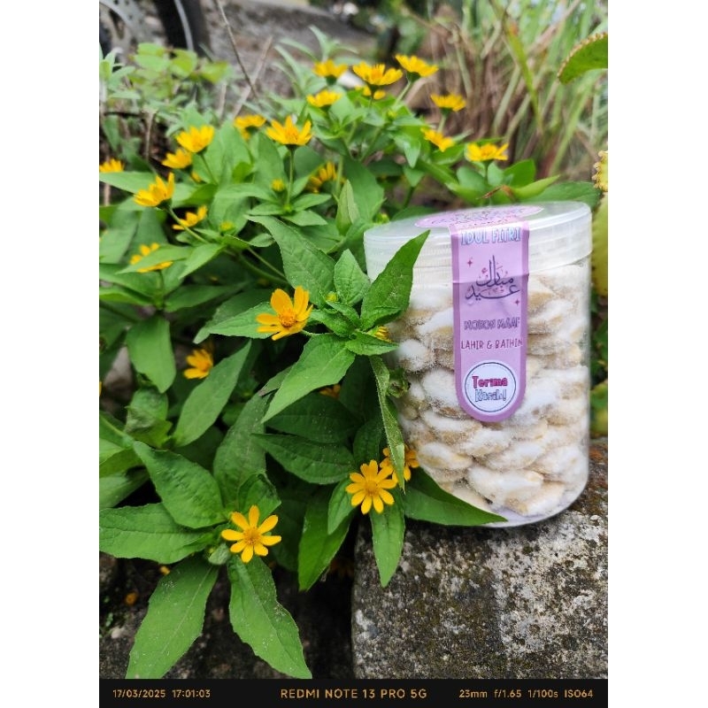 

Putri Salju Kemasan Toples 600ml