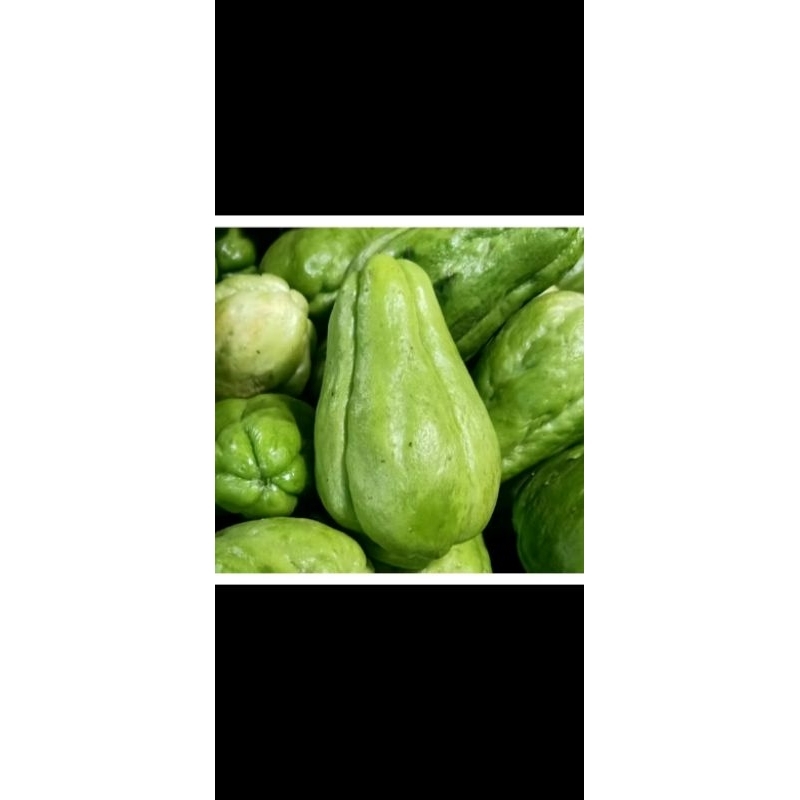 

kubis