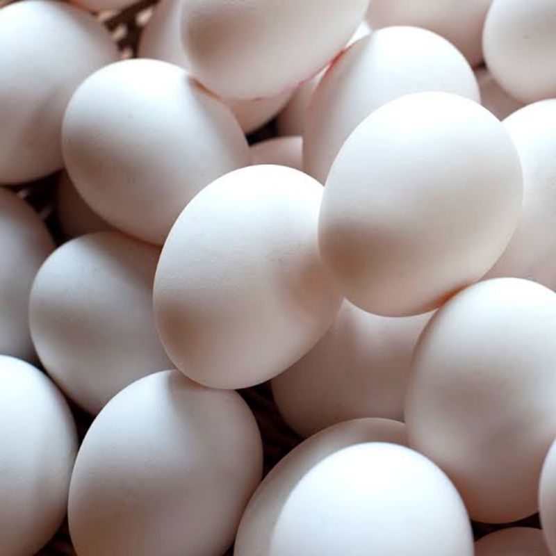 

Telur Ayam kampung Asli Fresh Setiap hari