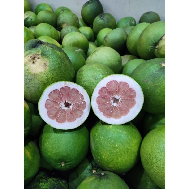 

JERUK PAMELO MADU LERENG MURIA BERAT 1 KG