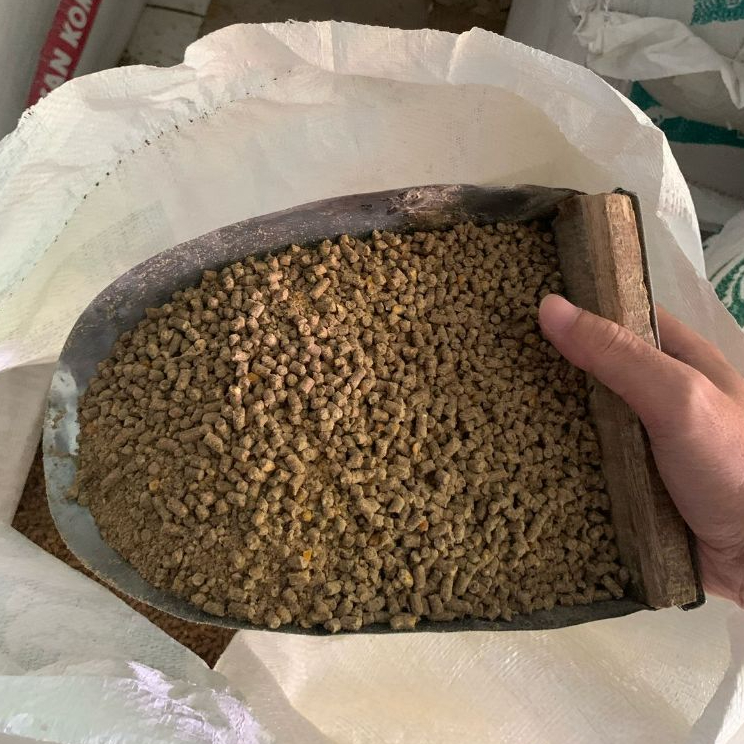 Pakan Ayam Dewasa Pedaging Hi-Pro BR12 Butiran Eceran Per Kg