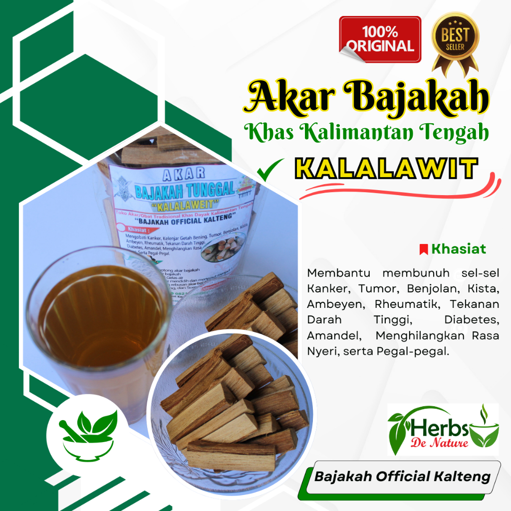 

Akar Bajakah Kalalawit Asli Kalimantan