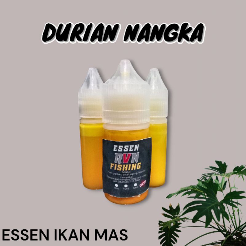 Essen DURIAN NANGKA ikan mas