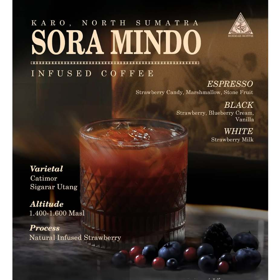 

Roemah Koffie Sora Mindo Infused Strawberry Arabica Karo Natural Premium Coffee Beans Espresso Roast Single Origin