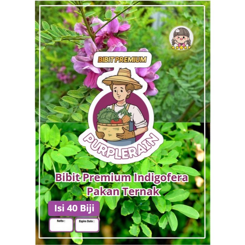 Bibit Premium Indigofera Pakan Ternak | Benih Indigofera Pakan Ternak