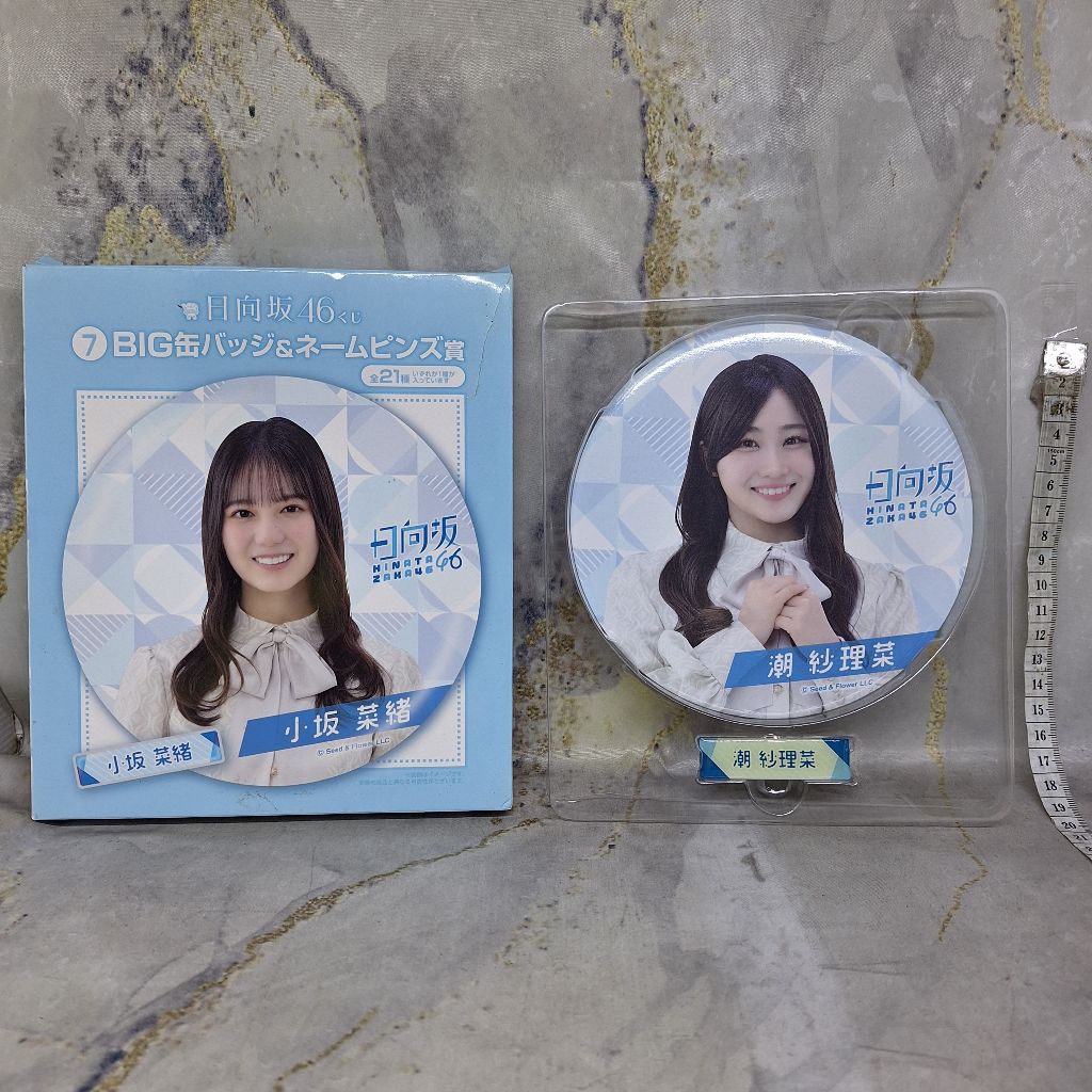 Ushio Sarina Hinatazaka46 Big Pin Badge Bros Name Nama Hinatazaka 46 15 cm