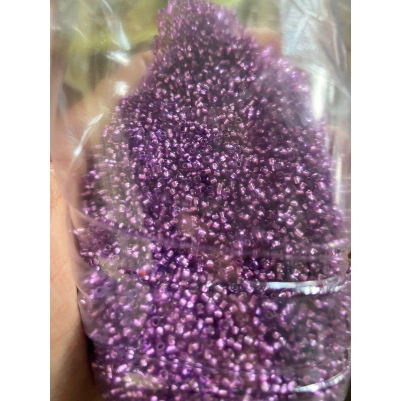 Payet Pasir Semi Jepang