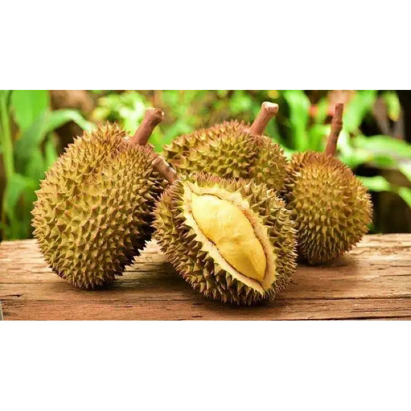 

buah durian lezat