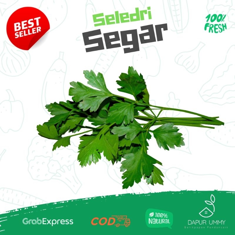 

Daun seledri | Daun Sop