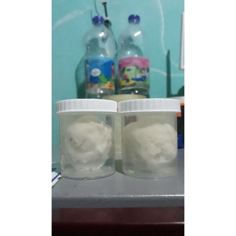 lem pulut super lengket getah karet asli dan Bendo kemasan 50ml