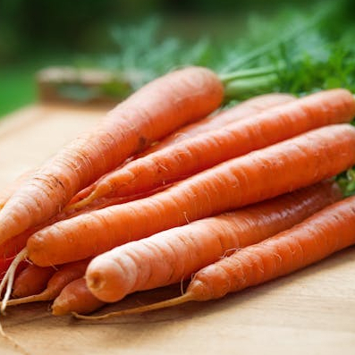 

WORTEL SEGAR 10 KG MURAH KUALITAS PREMIUM