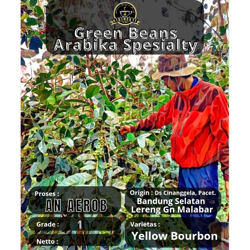 

Greenbeans Kopi Arabika Spesialty Singel Origin Proses An Aerob (1kg)