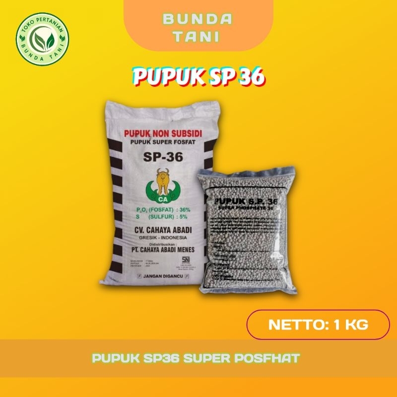 Pupuk SP 36 Super Phosfat Kemasan 1KG