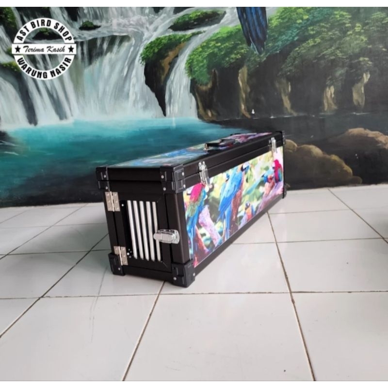 Box free fly box ff burung macaw parrot large
