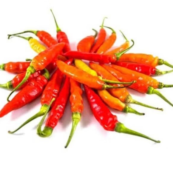 

Cabe Rawit Merah Segar 250 gram - bird's eye chili pepper