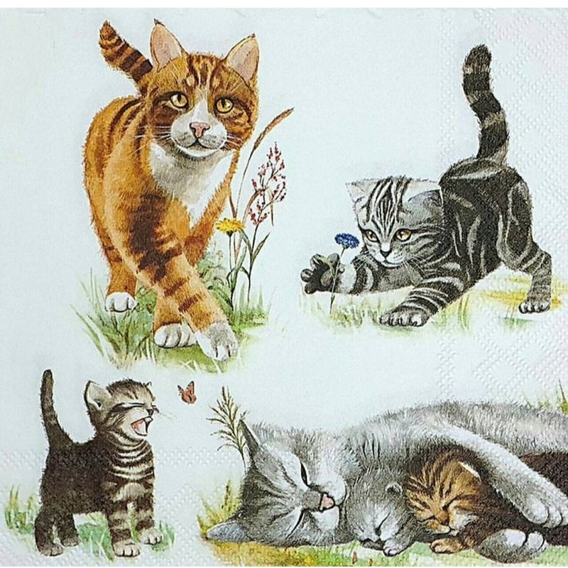 

Napkin Decoupage Eropa