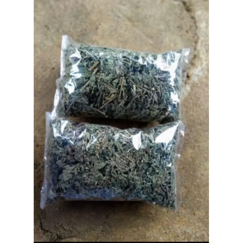 

daun kirinyuh kering herbal per pelastik