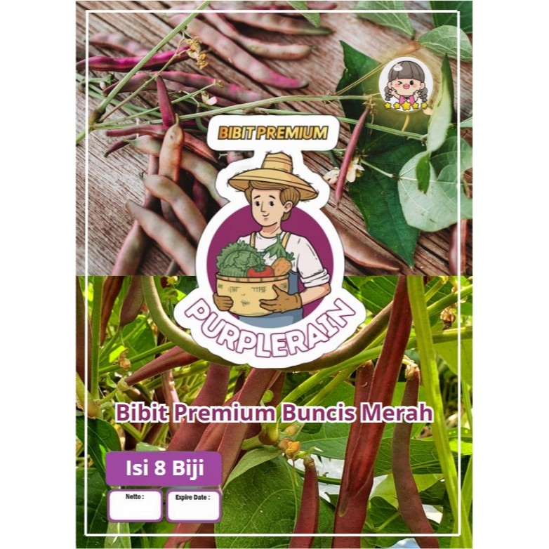 Bibit Premium Buncis Merah | Biji Benih Buncis Merah | Biji Bibit Buncis Merah