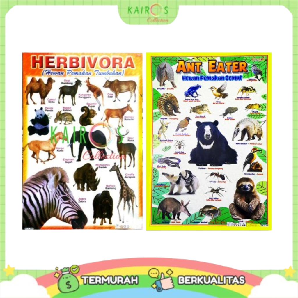 Poster Edukasi Anak Belajar Hewan Mamalia Herbivora Dinosaurus dll Edukasi Anak PAUD TK Mengenal Hew