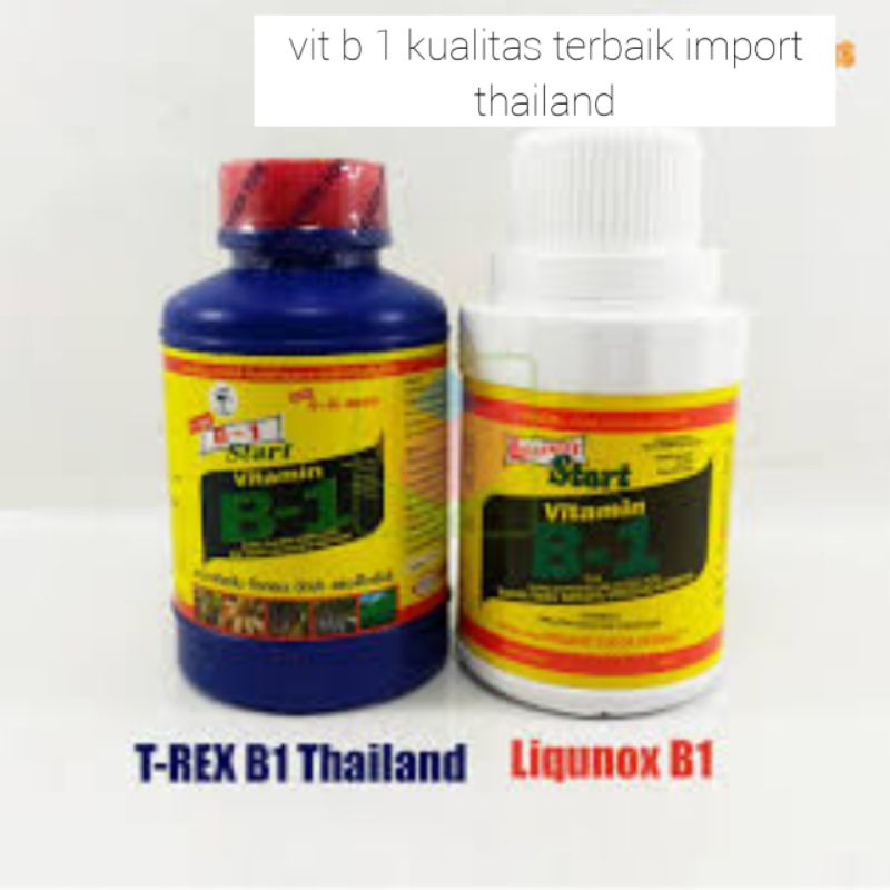 vit b 1 tanaman original no 1 terbaik