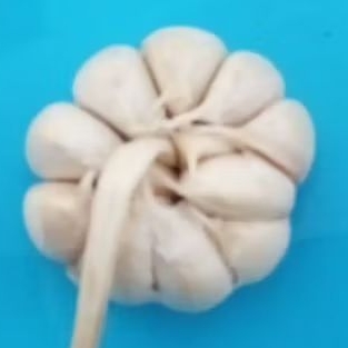 

Bawang Putih Ukuran Kecil Sedang