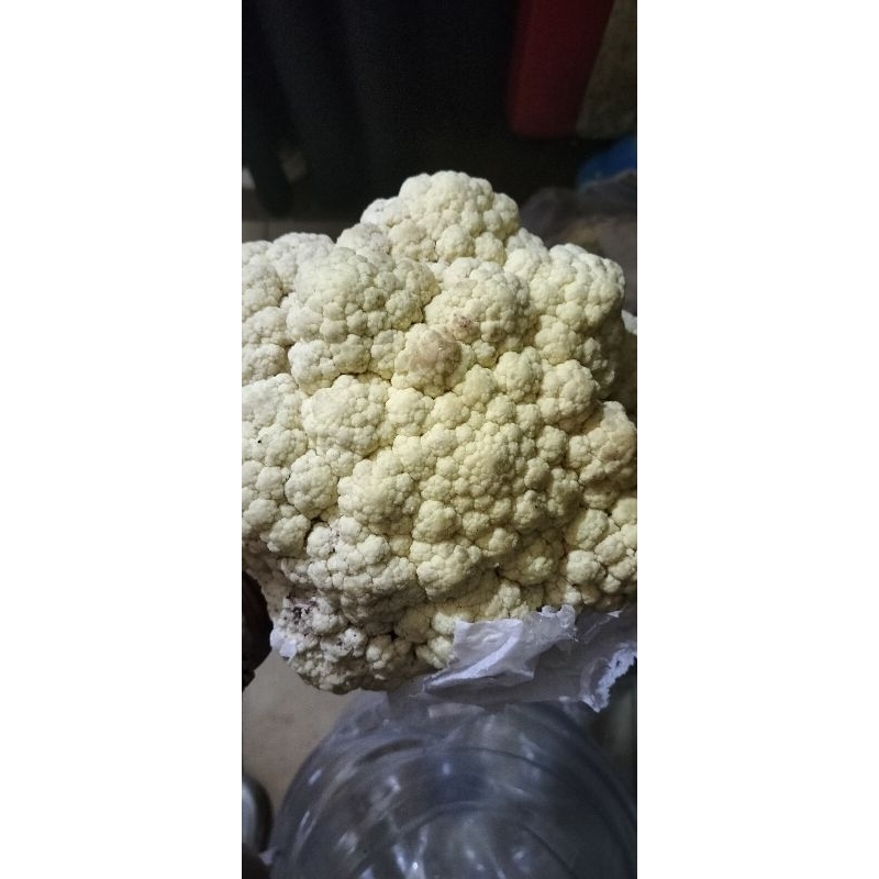 

1kg kembang kol