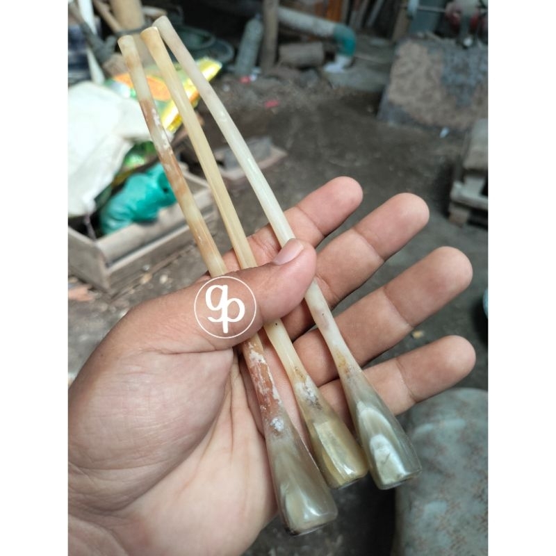 Pipa once / once cangklong tulang kalong tulang kelelawar 15-17cm