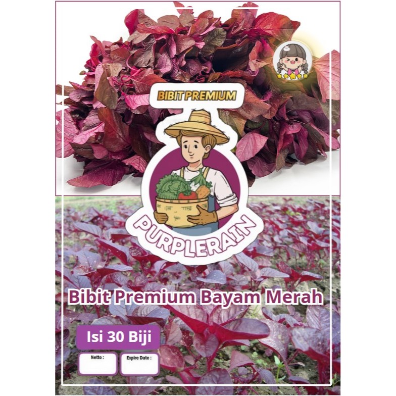 Bibit Premium Bayam Merah | Benih Bayam Merah