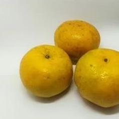 

jeruk Medan 1 kg