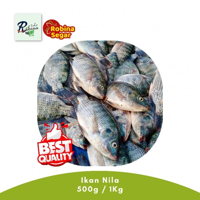

Ikan Nila Bersih Frozen 500 gram