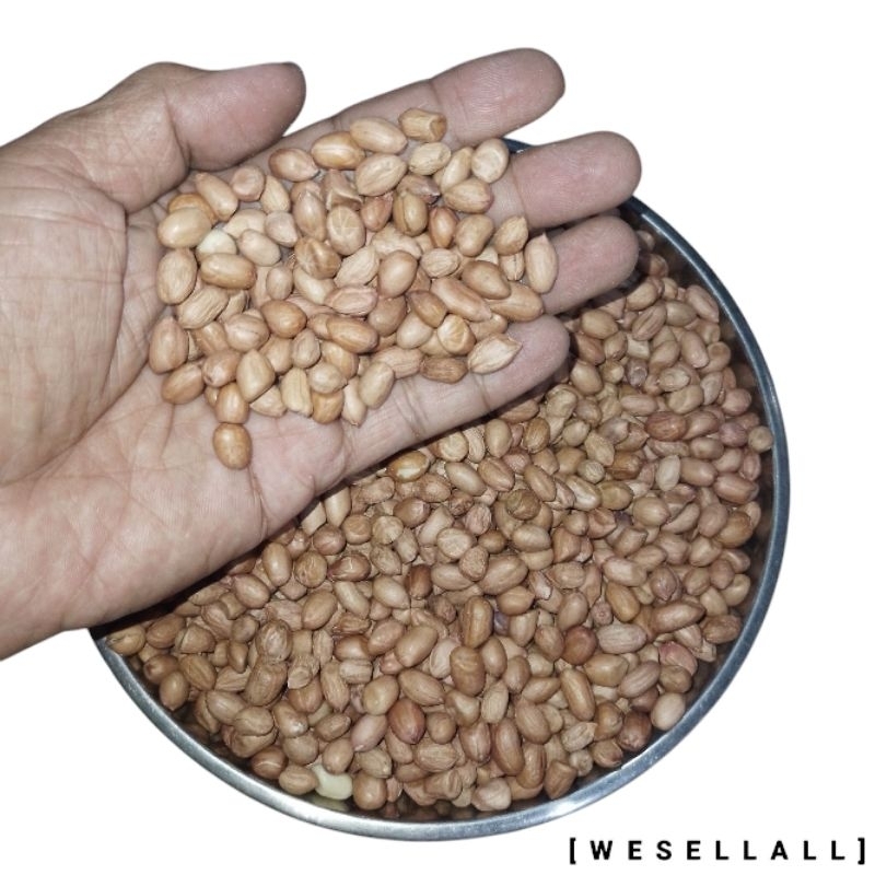 

Kacang Tanah Kiloan Repack | 0145AAA