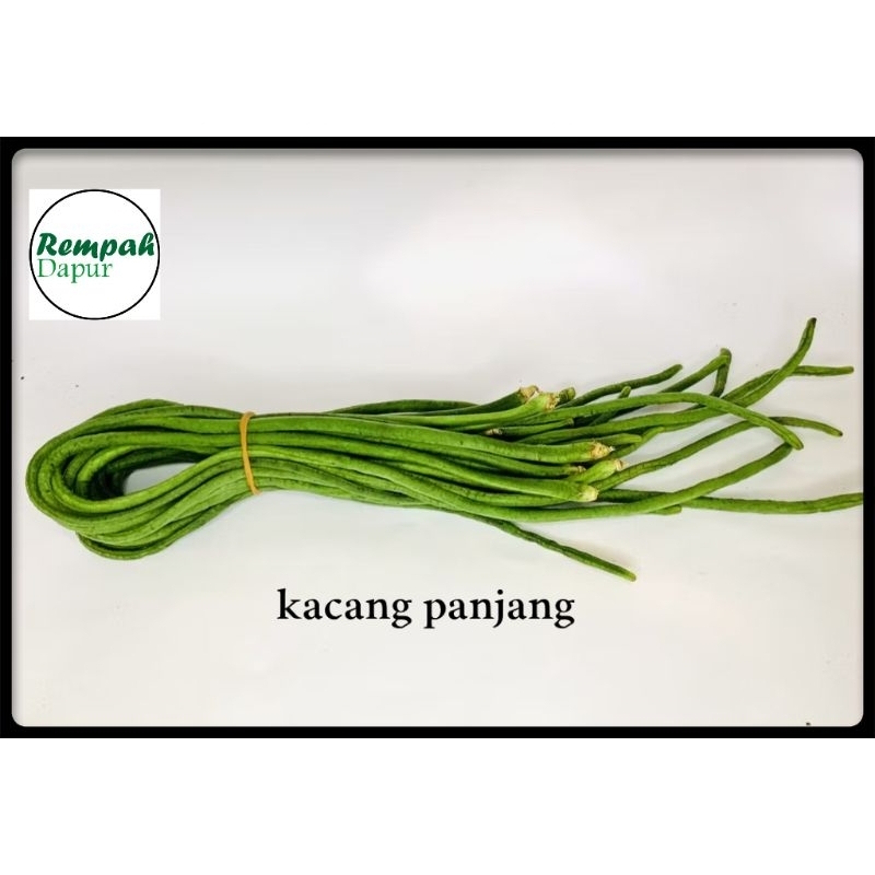 

kacang panjang segar 1 ikat