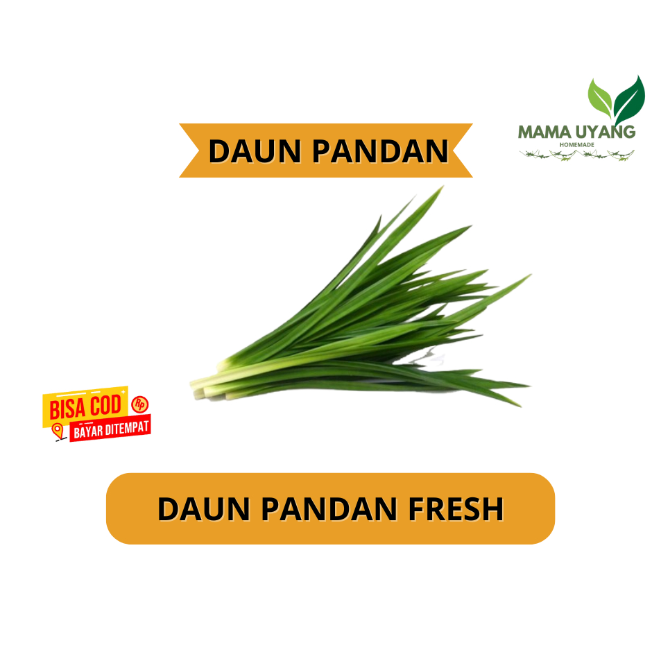 

JUAL DAUN PANDAN FRESH 1 IKAT 10-15 LEMBAR