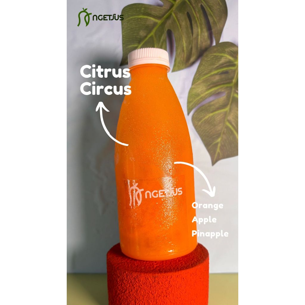 

Citrus Circus