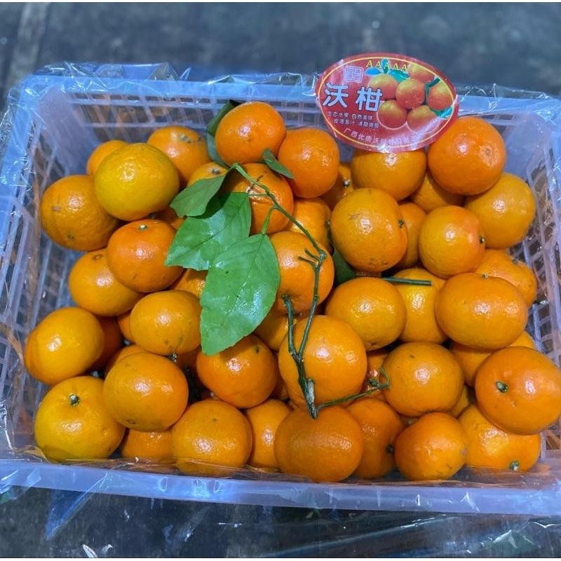 

Jeruk Wogan Daun 1 Krat