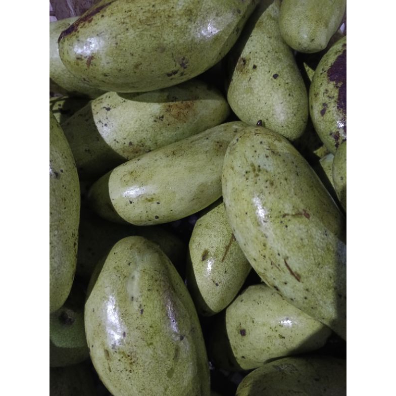 

Mangga Muda 1kg