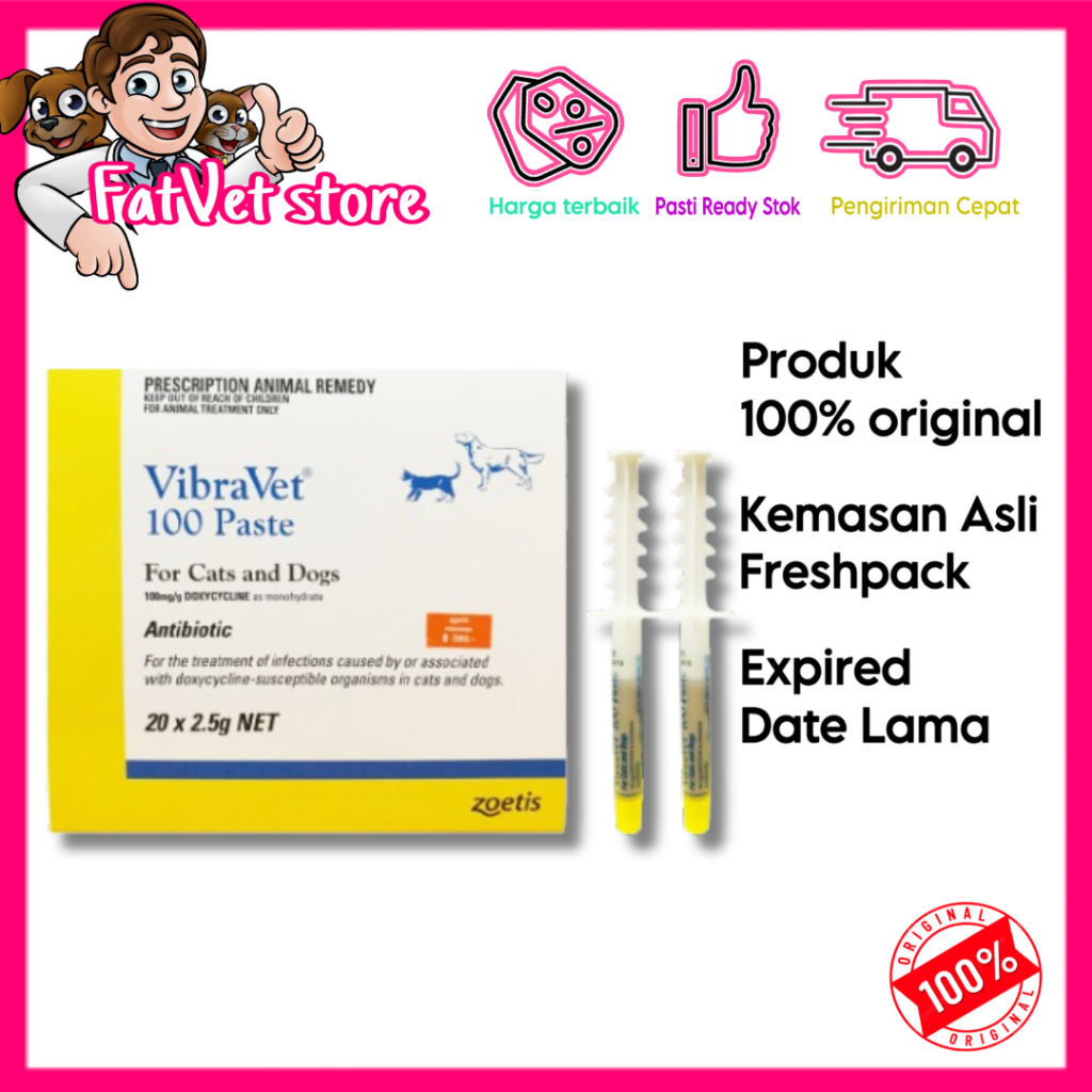 Vibravet obat antibiotik doxy pasta kucing anjing