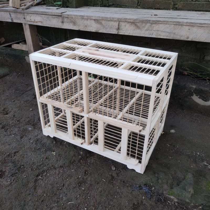 Dongdang merpati 4 pintu