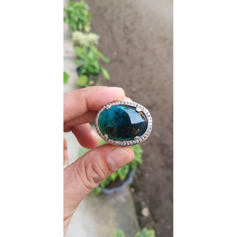 bacan coklat