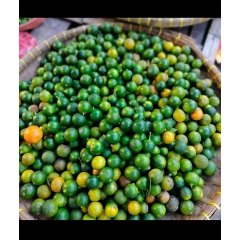 

jeruk sonkit jeruk kasturi harga grosir 1 kg