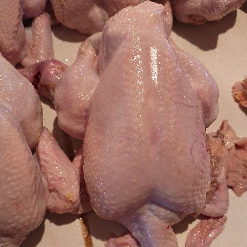 

ayam utuh UK 800/700 gram